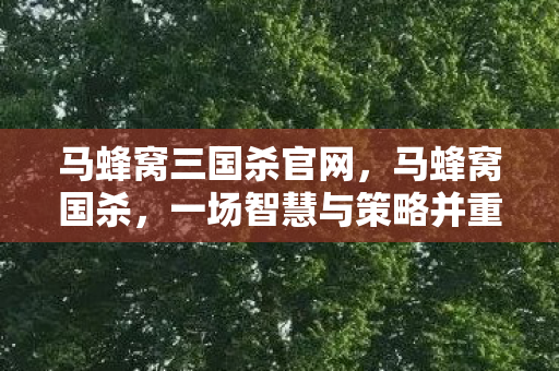一场智慧与策略并重的桌游盛宴图片
