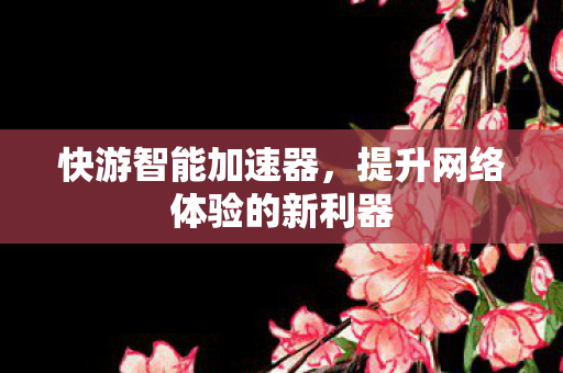 提升网络体验的新利器图片