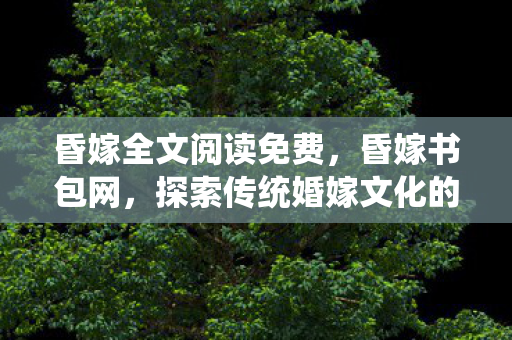 探索传统婚嫁文化的现代传承图片