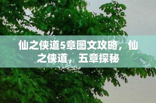 仙之侠道5章图文攻略图片