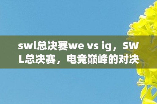 swl总决赛we vs ig图片