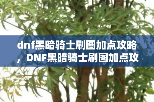 dnf黑暗骑士刷图加点攻略图片
