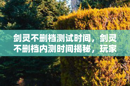 剑灵不删档测试时间，剑灵不删档内测时间揭秘，玩家期待已久！