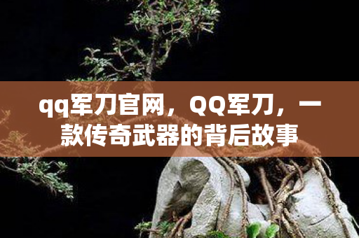 一款传奇武器的背后故事图片