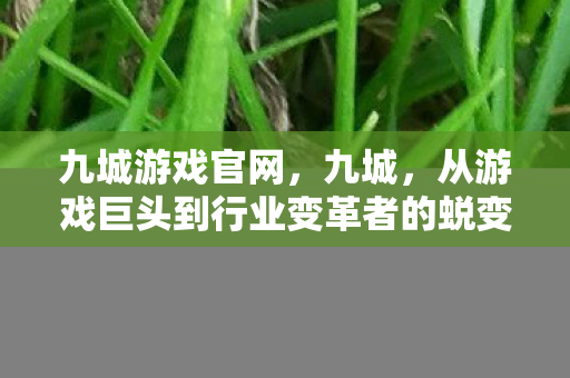 从游戏巨头到行业变革者的蜕变图片