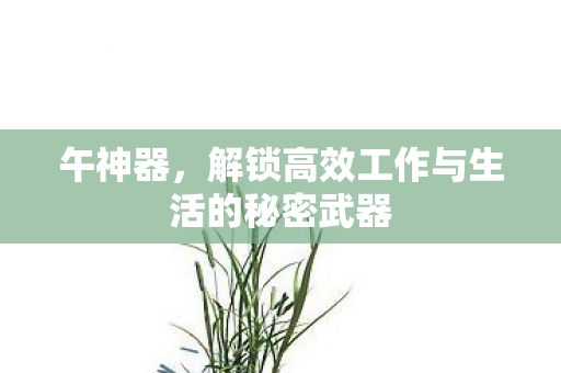 解锁高效工作与生活的秘密武器图片