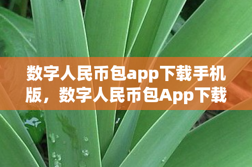 数字人民币包app下载手机版，数字人民币包App下载，探索移动支付的未来