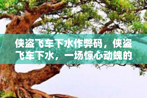 侠盗飞车下水作弊码，侠盗飞车下水，一场惊心动魄的冒险之旅