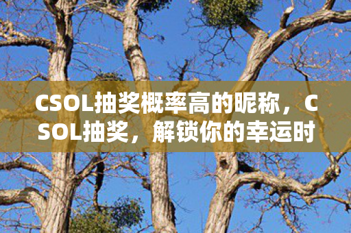 CSOL抽奖概率高的昵称，CSOL抽奖，解锁你的幸运时刻