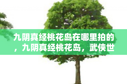 九阴真经桃花岛在哪里拍的，九阴真经桃花岛，武侠世界中的世外桃源