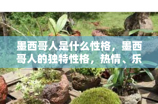 墨西哥人是什么性格,墨西哥人的独特性格,热情、乐观与坚韧 墨西哥人是什么性格,墨西哥人的独特性格,热情、乐观与坚韧