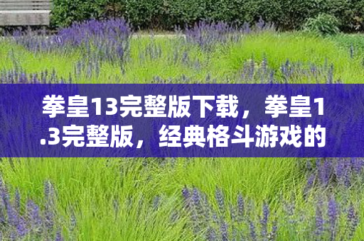 拳皇13完整版下载，拳皇1.3完整版，经典格斗游戏的巅峰之作