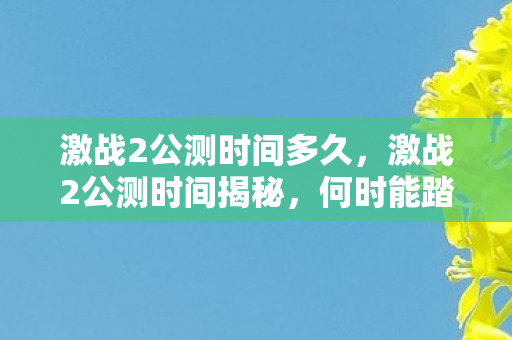 激战2公测时间多久，激战2公测时间揭秘，何时能踏上这场奇幻之旅？