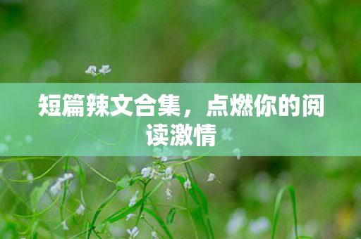 短篇辣文合集，点燃你的阅读激情