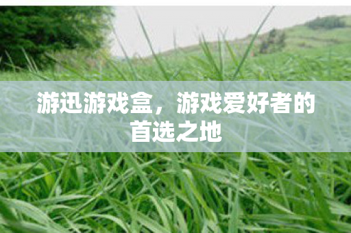 游迅游戏盒，游戏爱好者的首选之地