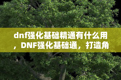dnf强化基础精通有什么用，DNF强化基础通，打造角色实力的关键步骤