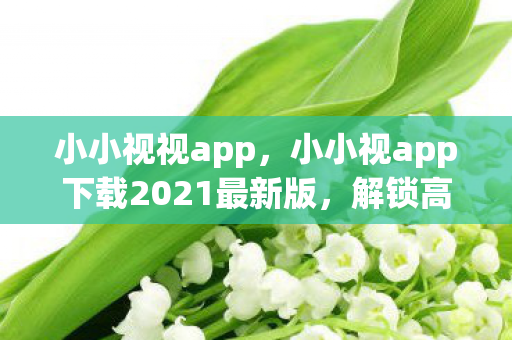 小小视视app,小小视app下载2021最新版,解锁高清影视新体验 小小视视app,小小视app下载2021最新版,解锁高清影视新体验