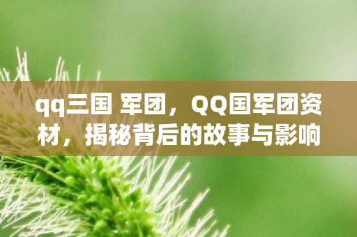 qq三国 军团，QQ国军团资材，揭秘背后的故事与影响