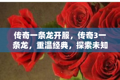 传奇一条龙开服，传奇3一条龙，重温经典，探索未知