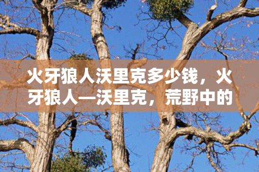 火牙狼人沃里克多少钱，火牙狼人—沃里克，荒野中的复仇之魂