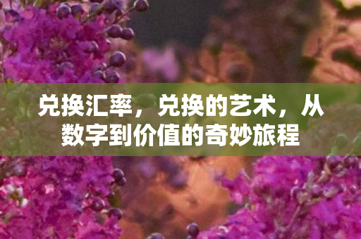 兑换汇率，兑换的艺术，从数字到价值的奇妙旅程