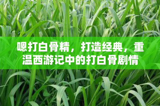 嗯打白骨精,打造经典,重温西游记中的打白骨剧情 嗯打白骨精,打造经典,重温西游记中的打白骨剧情