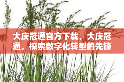 大庆冠通官方下载,大庆冠通,探索数字化转型的先锋 大庆冠通官方下载,大庆冠通,探索数字化转型的先锋