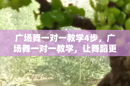 广场舞一对一教学4步，广场舞一对一教学，让舞蹈更有趣、更专业