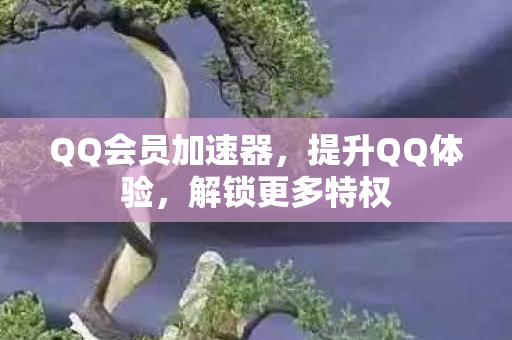 QQ会员加速器,提升QQ体验,解锁更多特权 QQ会员加速器,提升QQ体验,解锁更多特权