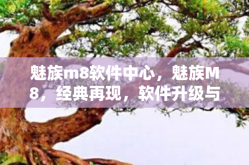 魅族m8软件中心，魅族M8，经典再现，软件升级与用户体验的完美结合