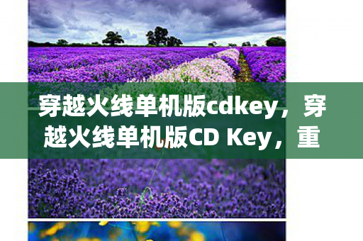 穿越火线单机版cdkey，穿越火线单机版CD Key，重温经典，无需联网的射击盛宴