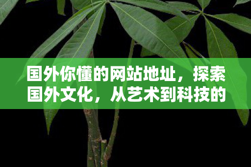 国外你懂的网站地址，探索国外文化，从艺术到科技的全球视野