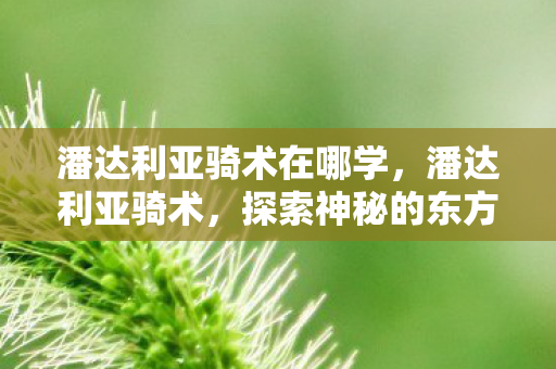 探索神秘的东方飞行之旅图片