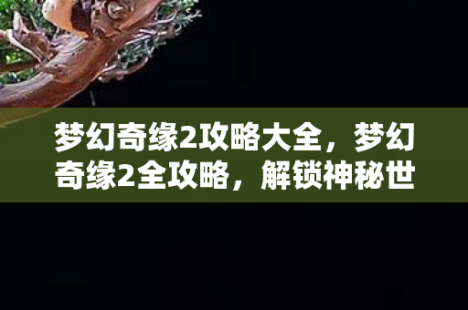 梦幻奇缘2攻略大全，梦幻奇缘2全攻略，解锁神秘世界的钥匙