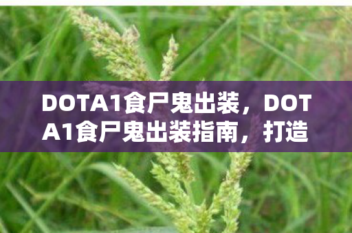 DOTA1食尸鬼出装，DOTA1食尸鬼出装指南，打造最强战斗力的食尸鬼