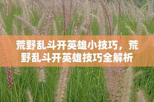 荒野乱斗开英雄小技巧，荒野乱斗开英雄技巧全解析