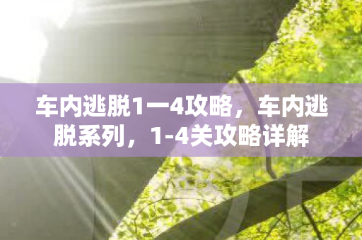 车内逃脱1一4攻略，车内逃脱系列，1-4关攻略详解