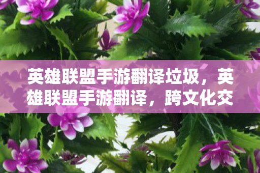 英雄联盟手游翻译垃圾，英雄联盟手游翻译，跨文化交流的桥梁