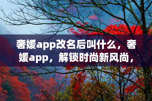 奢媛app改名后叫什么，奢媛app，解锁时尚新风尚，尽享奢华生活