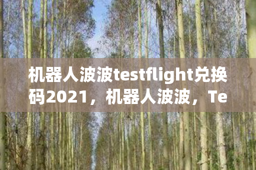 机器人波波testflight兑换码2021，机器人波波，TestFlight兑换码背后的科技与人情