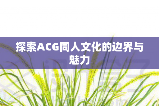 探索ACG同人文化的边界与魅力