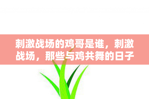 刺激战场的鸡哥是谁，刺激战场，那些与鸡共舞的日子