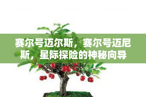 赛尔号迈尔斯，赛尔号迈尼斯，星际探险的神秘向导