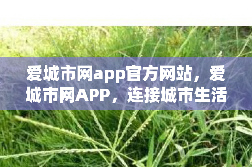 爱城市网app官方网站，爱城市网APP，连接城市生活的智能桥梁
