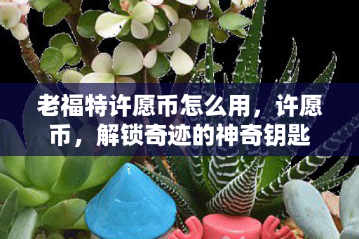 老福特许愿币怎么用，许愿币，解锁奇迹的神奇钥匙