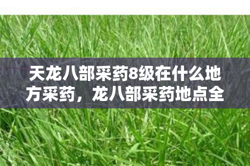 天龙八部采药8级在什么地方采药,龙八部采药地点全解析,探寻神秘药草,解锁你的江湖之旅 天龙八部采药8级在什么地方采药,龙八部采药地点全解析,探寻神秘药草,解锁你的江湖之旅