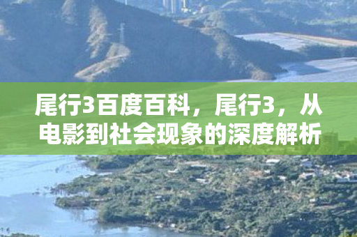 尾行3百度百科,尾行3,从电影到社会现象的深度解析 尾行3百度百科,尾行3,从电影到社会现象的深度解析