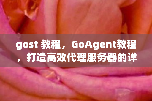gost 教程，GoAgent教程，打造高效代理服务器的详细步骤