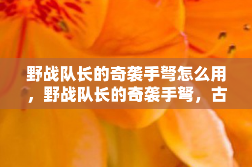 野战队长的奇袭手弩怎么用，野战队长的奇袭手弩，古老武器中的战术智慧