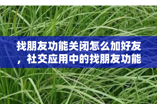 找朋友功能关闭怎么加好友,社交应用中的找朋友功能为何被关闭? 找朋友功能关闭怎么加好友,社交应用中的找朋友功能为何被关闭?